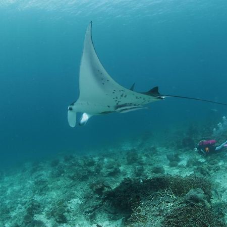 Coriana Dive Resort Waisai Экстерьер фото